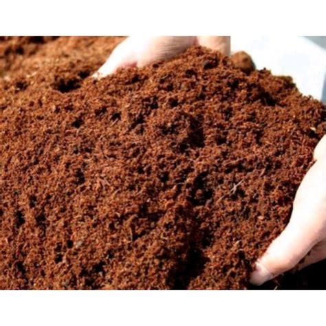 Jual Media Tanam Cocopeat Liter Gram Shopee Indonesia