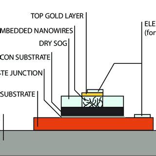 1: Schematic cross-section of the intended device | Download Scientific ...