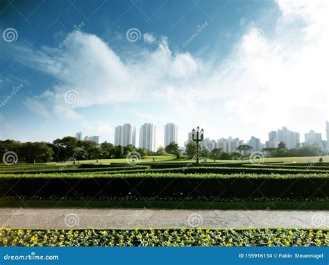 Parque Do Jardim BotÃnico De Curitiba Stock Photo Image of parque