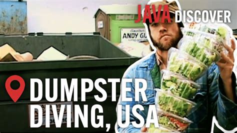 Dumpster Diving In La From Trash To Treasure Saving America S Food