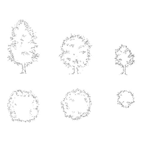 Trees Dwg Cad Blocks In Plan And Elevation 20 Pieces 2 Cadnature