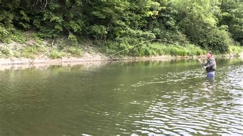 Fly Fishing Credit River Ontario YouTube