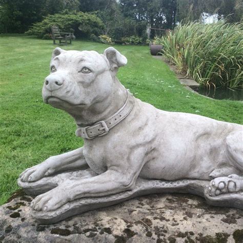 Stone Garden Large Pit Bull Staffordshire Bull Terrier Ornament Statue Ferney Heyes Garden