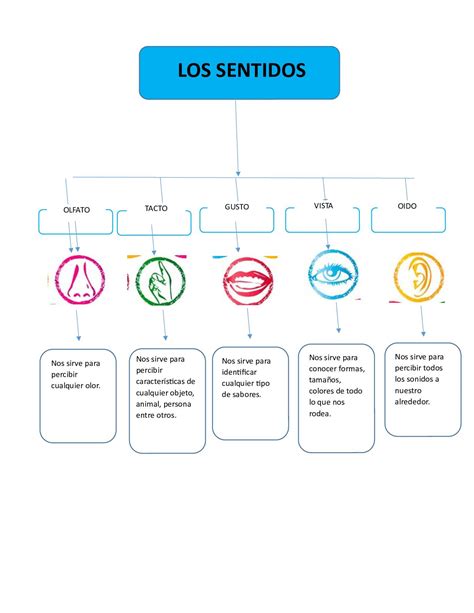 Mapa Conceptual Sobre El Olfato Tingfor Porn Sex Picture