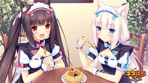 ネコぱら Vol1 ソレイユ開店しました（neko Works）の通販・購入はメロンブックス メロンブックス