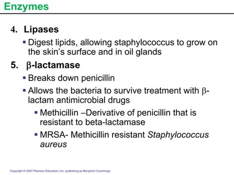 Gram Positive Cocci Ppt