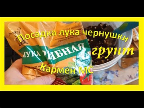 Грунт для рассады Лук Кармен МС - YouTube