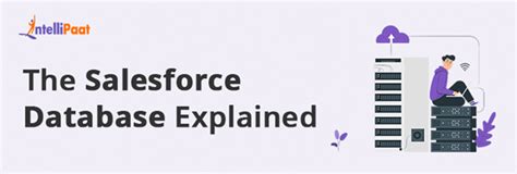 The Salesforce Database Explained Intellipaat