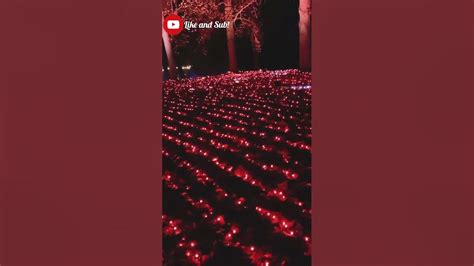 Awesome Light Show Youtube