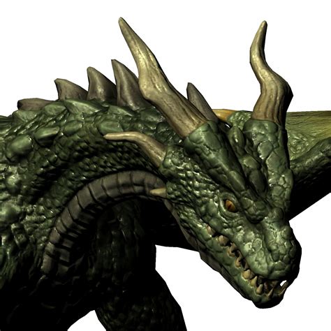 Dragon Head Free Stock Photo - Public Domain Pictures