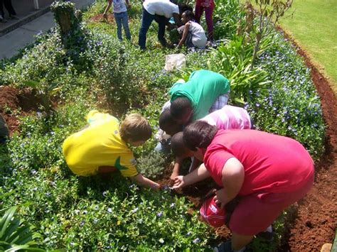 Laerskool Mooifontein Primary School Pre School Pre Schools In