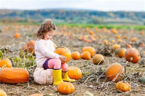 Campi Di Zucca Spuntano In Tutta Italia I Pi Belli Da Visitare Con