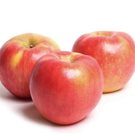 Honeycrisp Apple Tree | Grow Organic Apples At Home — PlantingTree