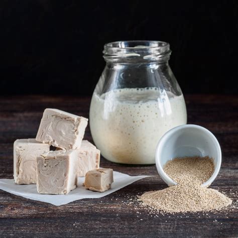 Спиртовая брага – рецепт и пропорции воды, сахара, дрожжей