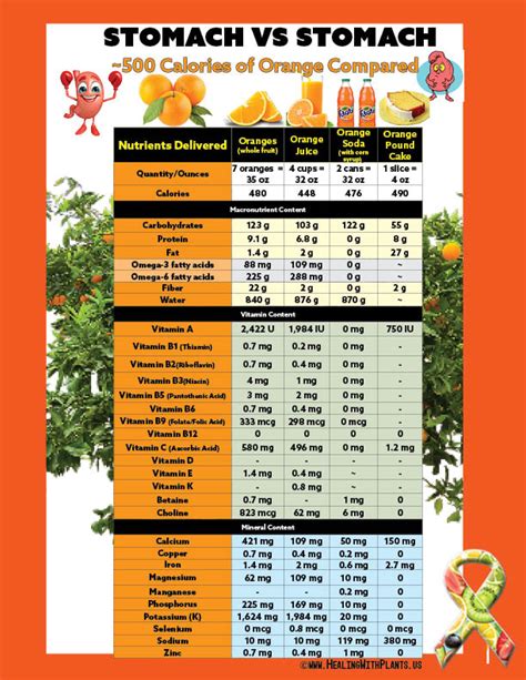 Calorie Density Vs Nutrient Density Healing With Plants