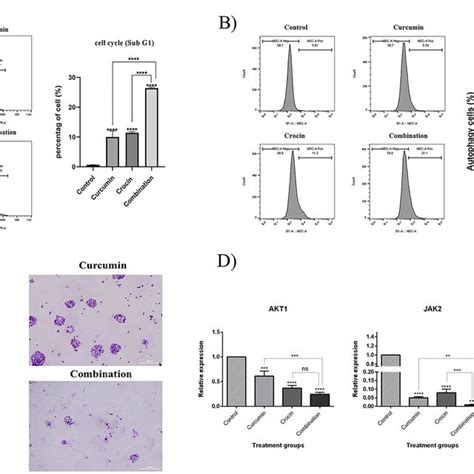 A The Effect Of Curcumin And Crocin Treatments On The Cell Cycle Was