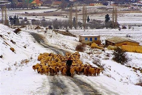 THE VIEW FROM FEZ: Remote Families Get Aid During Cold Weather