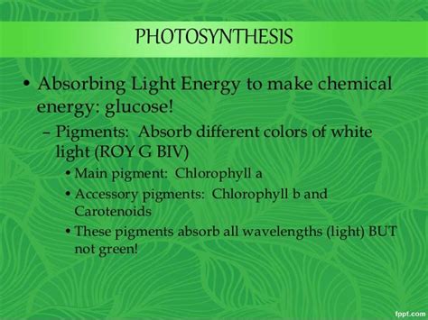 Photosynthesis | Photosynthesis, Chemical energy, Light energy