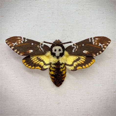 Death’s Head Moth Course $247 | Stitch Gothica