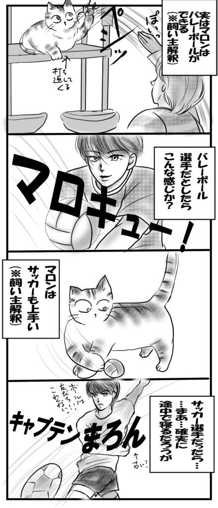 【ねこ漫画】スポーツの秋、スポーツ選手マロン 【ねこ漫画】マロンと愉快な仲間たち