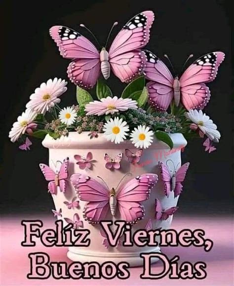 Pin By Claris Martinez On Paz Y Bien Mariposas Hermosas In