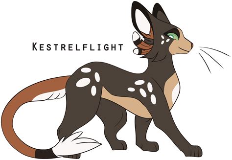 Kestrelflight by Lonely-Digging on DeviantArt