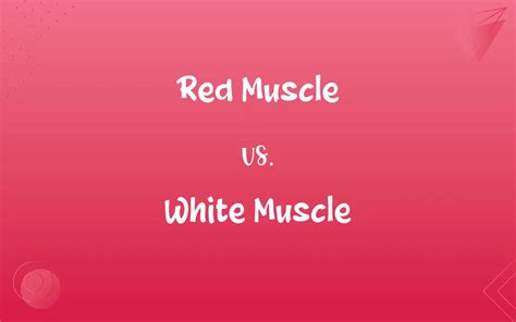 Red Muscle Vs White Muscle Whats The Difference