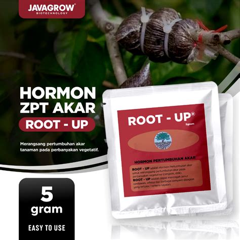 Jual Root Up Hormon Pertumbuhan Akar Stek Cangkok Gram Shopee Indonesia