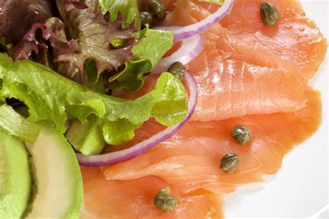 Salmon And Avocado Mousse On White Plate Stock Image Image Of Starter Smoked 27750403