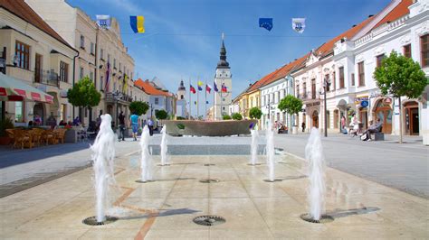 Visitez R Gion De Trnava Le Meilleur De R Gion De Trnava Slovaquie