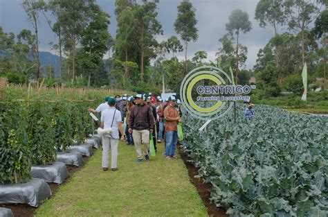 Syngenta Perkenalkan Ekosistem Pertanian Centrigo Di Indonesia