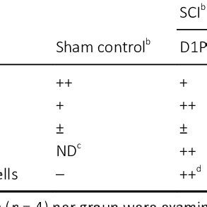 Ninjurin Immunoreactivity In The Spinal Cord Tissues Of Sham Controls