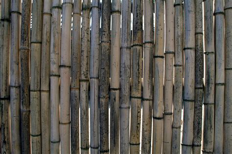 Bambu Pagar Dinding Foto Gratis Di Pixabay Pixabay