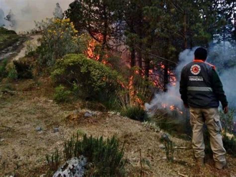 Incendios En Papantla Han Consumido Casi Hect Reas