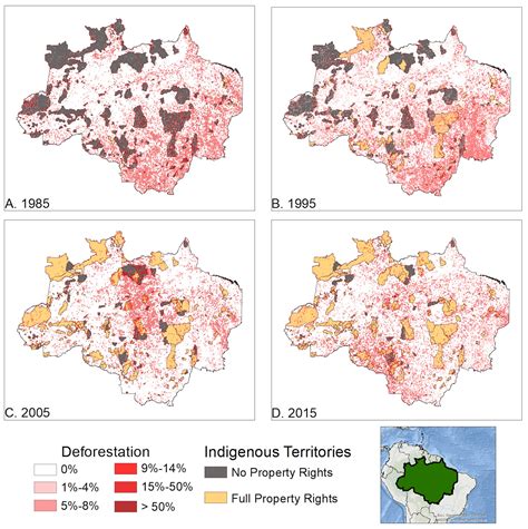 Indigenous Property Rights Protect The Amazon Rainforest