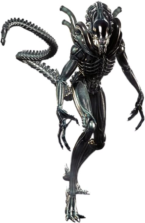 Alien Xenomorph Png Blank Template Imgflip