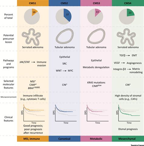 Colorectal Cancer Subtypes Developmental Origin And Microenvironmental