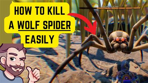 How To Kill A Wolf Spider Grounded