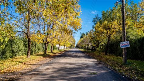 Un Barrio De Trujui Ahora Cuenta Con Las Primeras Calles Asfaltadas De