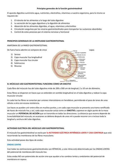 Principios Generales De La Funci N Gastrointestinal Cap Guyton