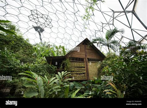 Malaysian Hut Rainforest Biome Eden Project Stock Photo Alamy