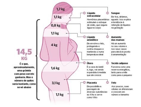 Beb Resumo Do Desenvolvimento Embrion Rio Fetal Semana