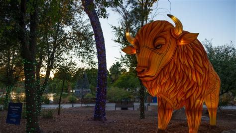 Phoenix ZooLights 2023: Tickets, prices and what's new