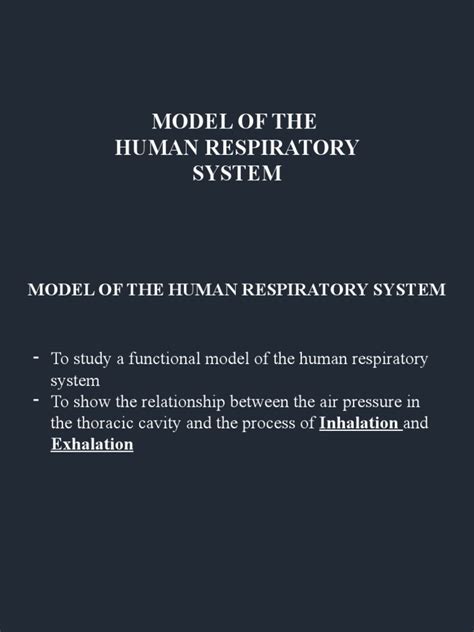 Science Form 3 Model Of Human Respiratory System Pdf