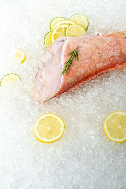 Peixe Fresco Do Mar Oceano Vermelho Poleiro Deitado No Gelo Sem