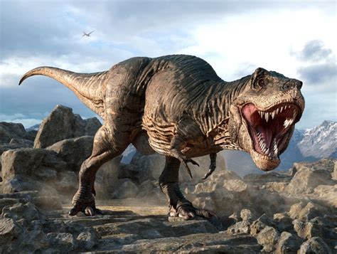 The Maximum Number Of T Rex To Ever Walk The Earth Was Billion