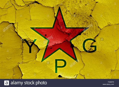 ypg wallpaper wallpapersafari