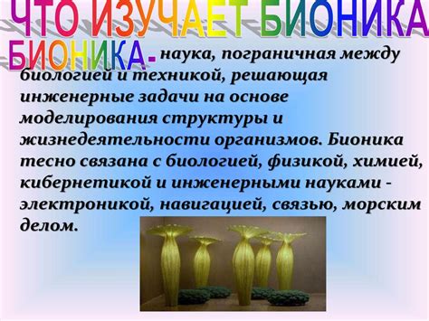 Бионика - презентация онлайн