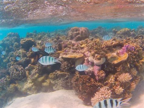 Backpack And Snorkel Travel Guide For The 3 Best Snorkeling Spots In