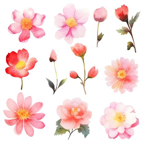 Premium Vector | Watercolor painted flowers set